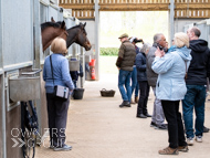 BP140425-62 - Ben Pauling Stable Visit
